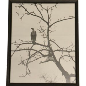 Signed original black & white photography by S.K. Gajree + frame.
