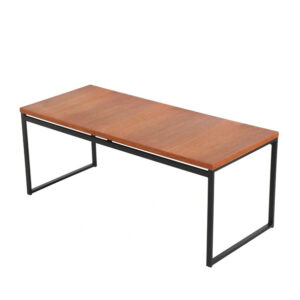 Seltener Rego / Günter Renkel “Twen” Teak-Couchtisch / Mid Century Modern Design / 50er / 60er Modernismus